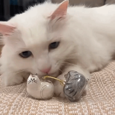 【สิ่งจำเป็นสำหรับคนรักสัตว์เลี้ยง】จี้เก็บขนสัตว์เลี้ยง