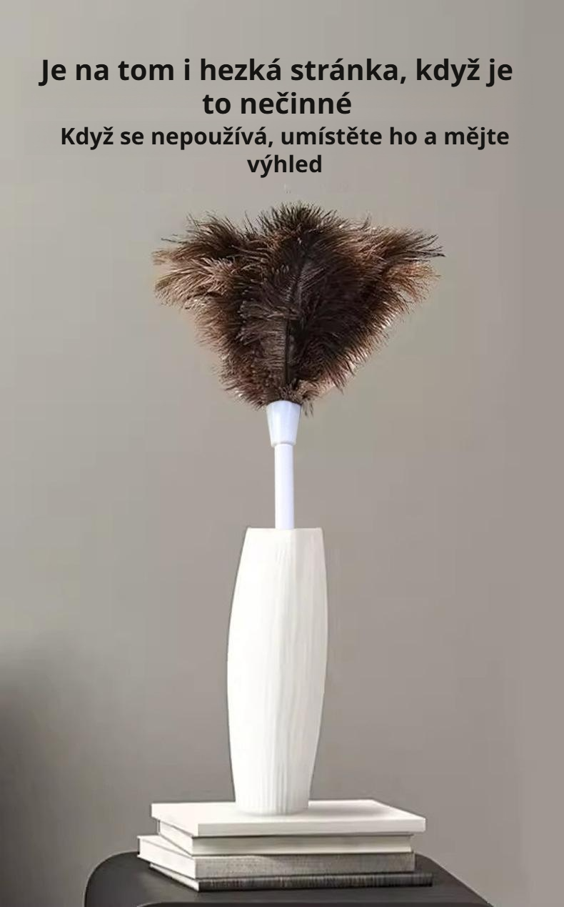 Oprašovač na odstraňování prachu z elektroniky