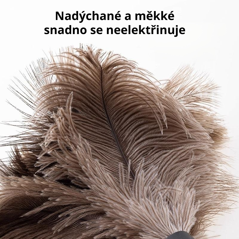 Oprašovač z pštrosího peří jako nástroj na odstraňování prachu