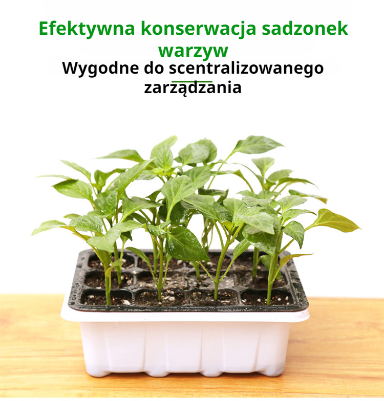 Praktyczna skrzynka na 12 sadzonek