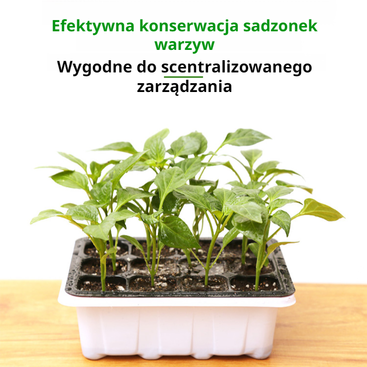 12-otworowa plastikowa skrzynka na sadzonki