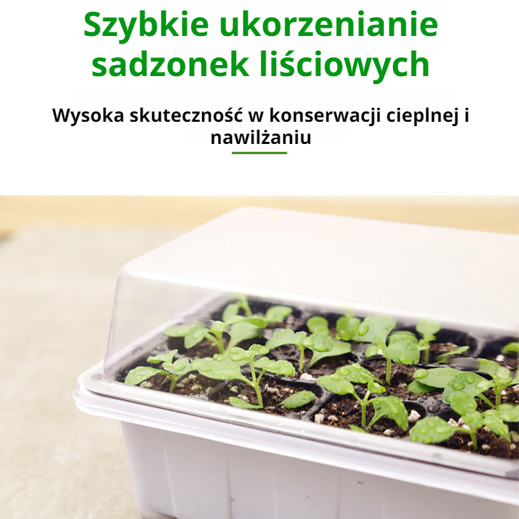 12-otworowa plastikowa skrzynka na sadzonki