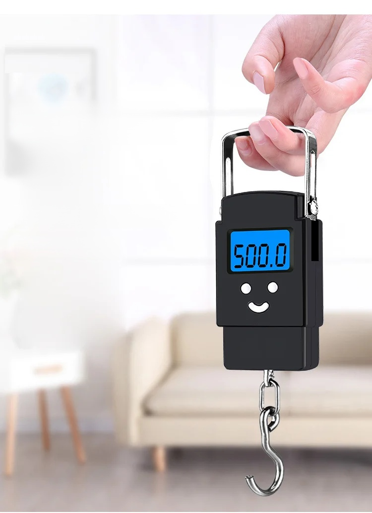 手提彈簧電子秤
