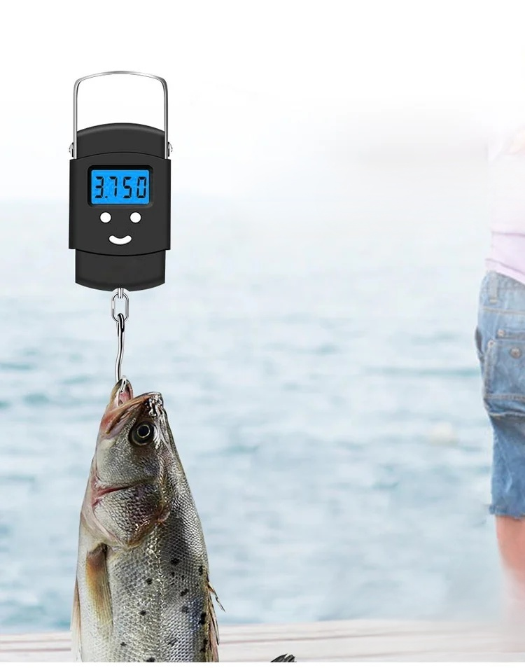 手提彈簧電子秤