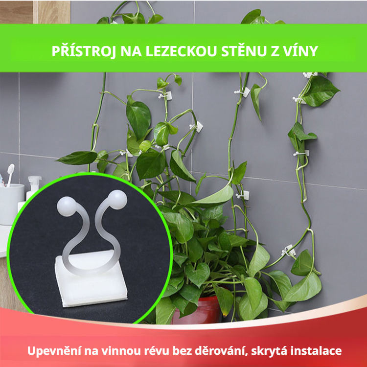 Držák na upevnění popínavých rostlin na zeď