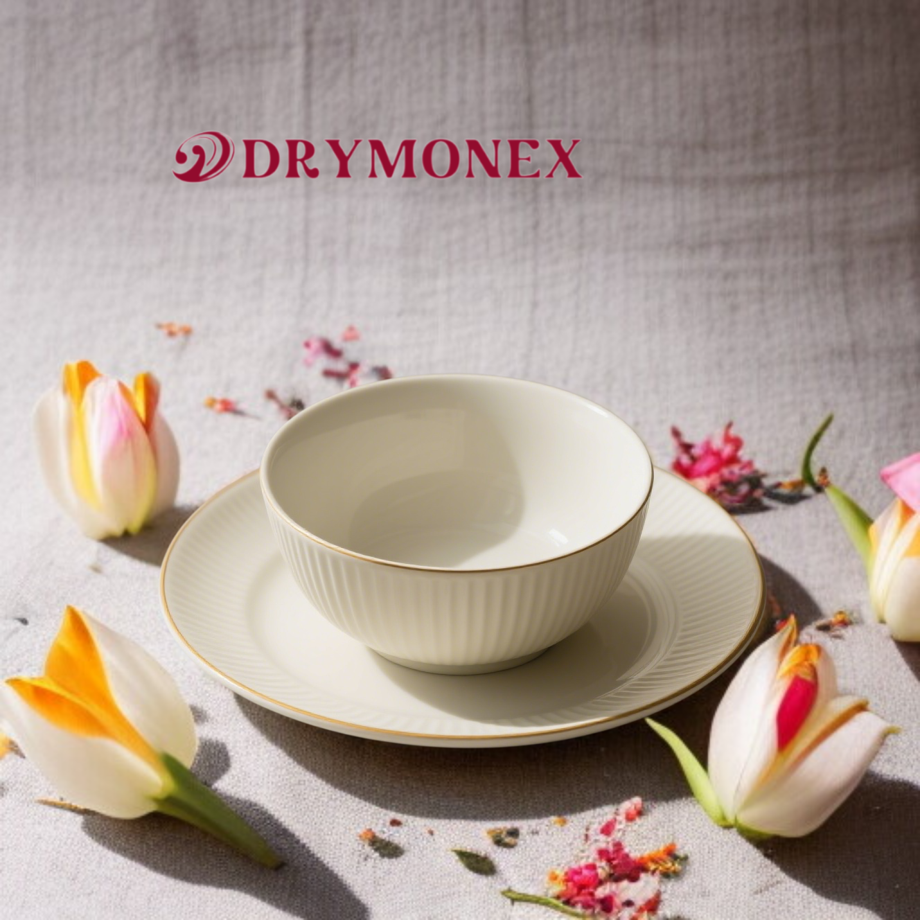 純白のボーンチャイナボウルとプレートの美しいセット