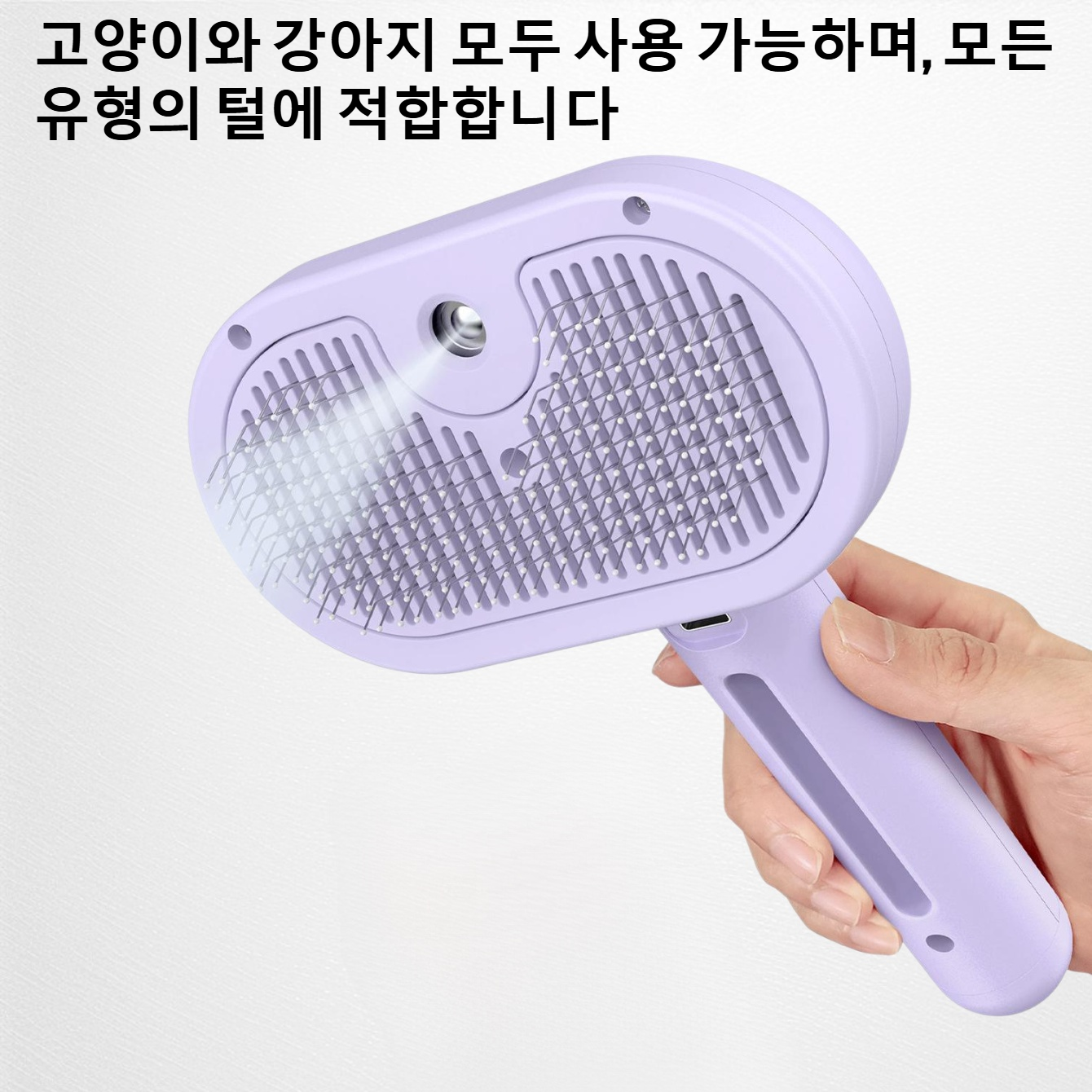 반려동물 미용 빗