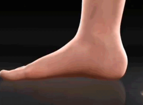 3672c88b1d7d7ecc5a5e47d7a3e8ebf4.gif