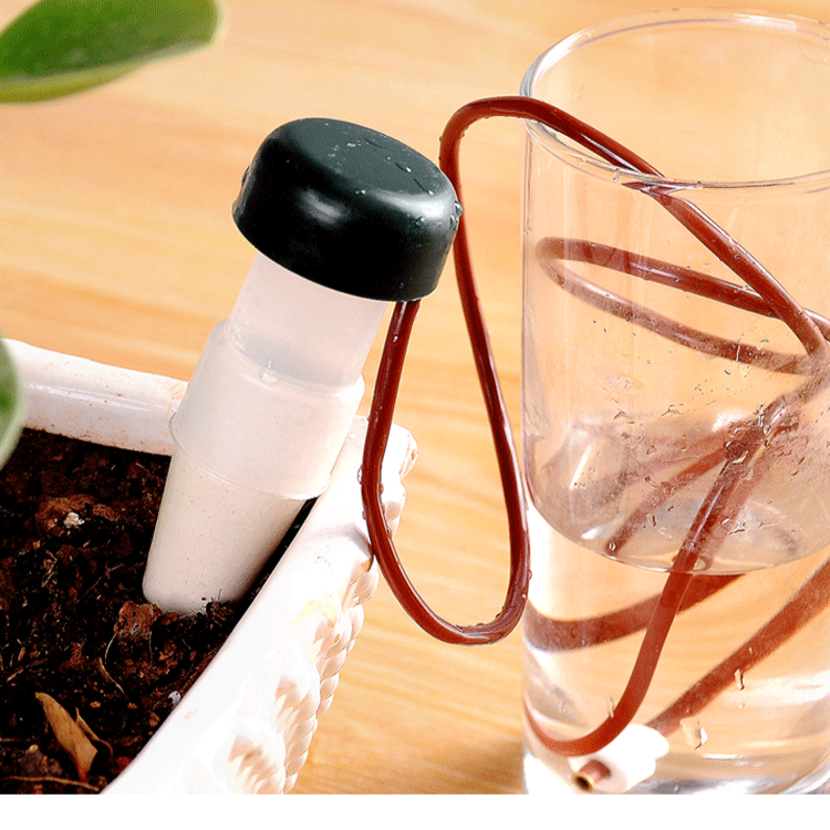 Automatický zavlažovač pro lenochy