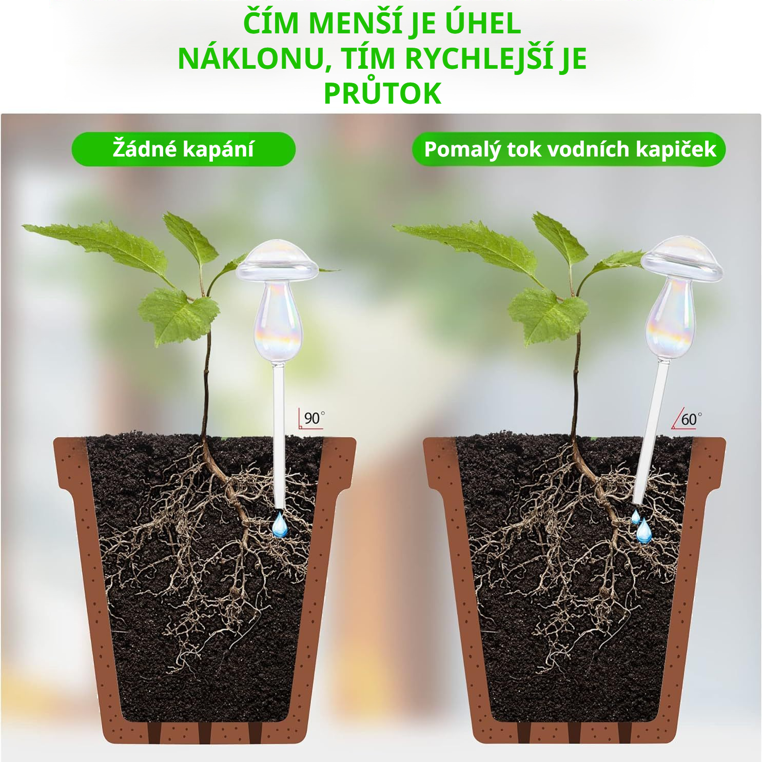 Skleněná kulatá zavlažovací koule pro rostliny domácnosti