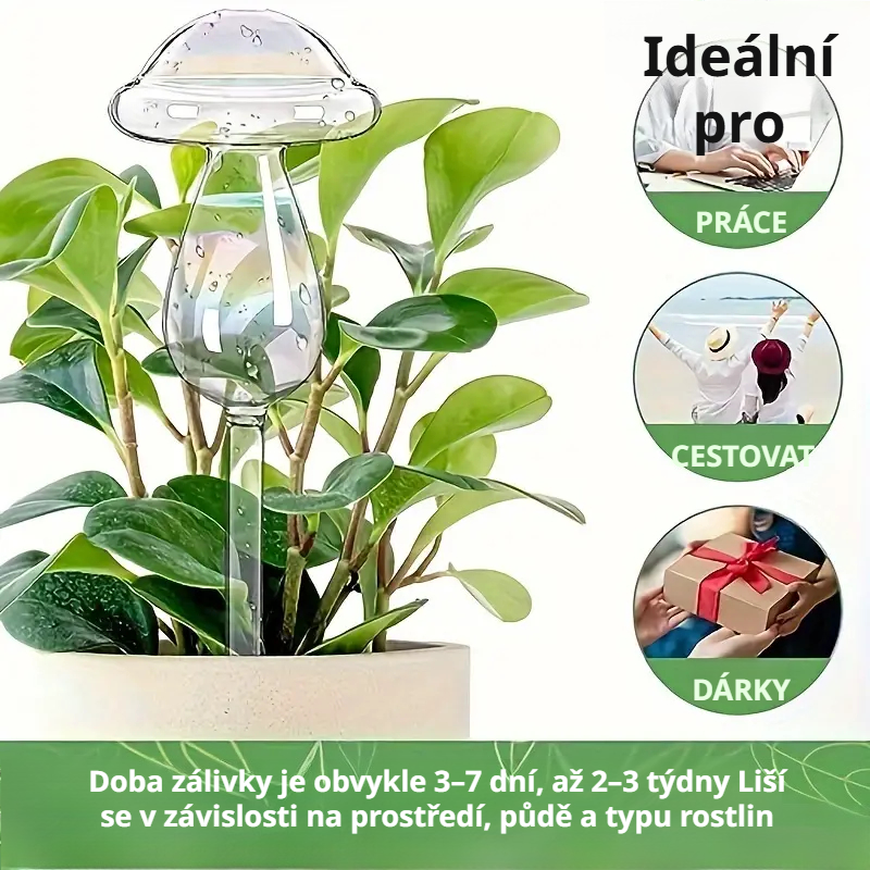 Skleněná kulatá zavlažovací koule pro rostliny domácnosti