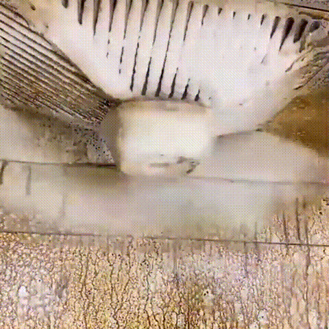 未标题-1_26.gif