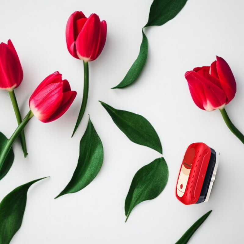 자동차 유리 유막 청소기