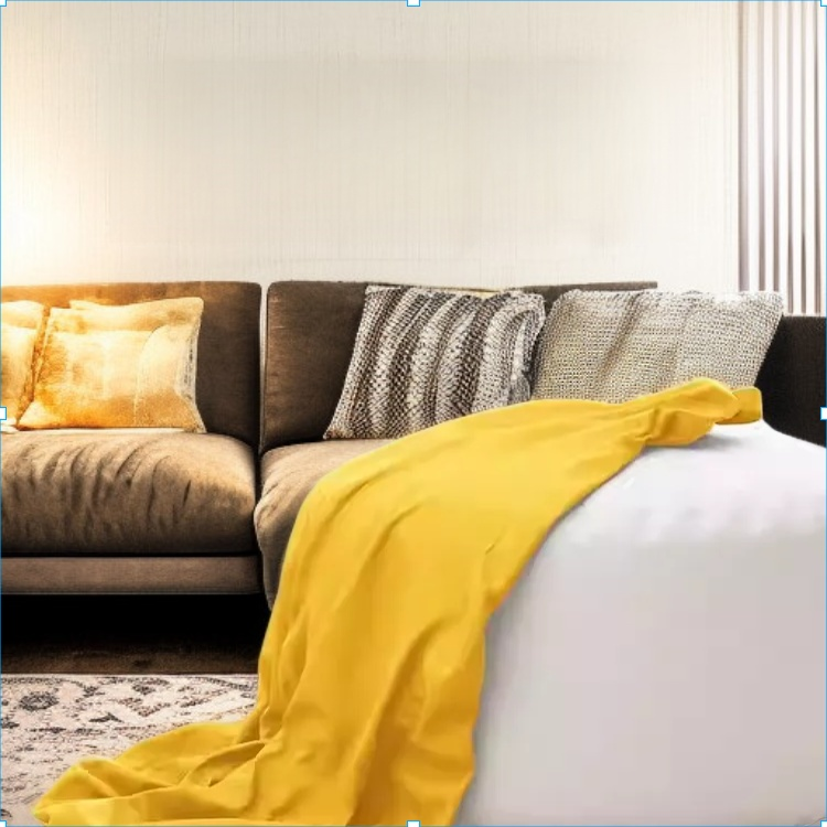 The internet celebrity lazy sofa that can be reclined and slept on