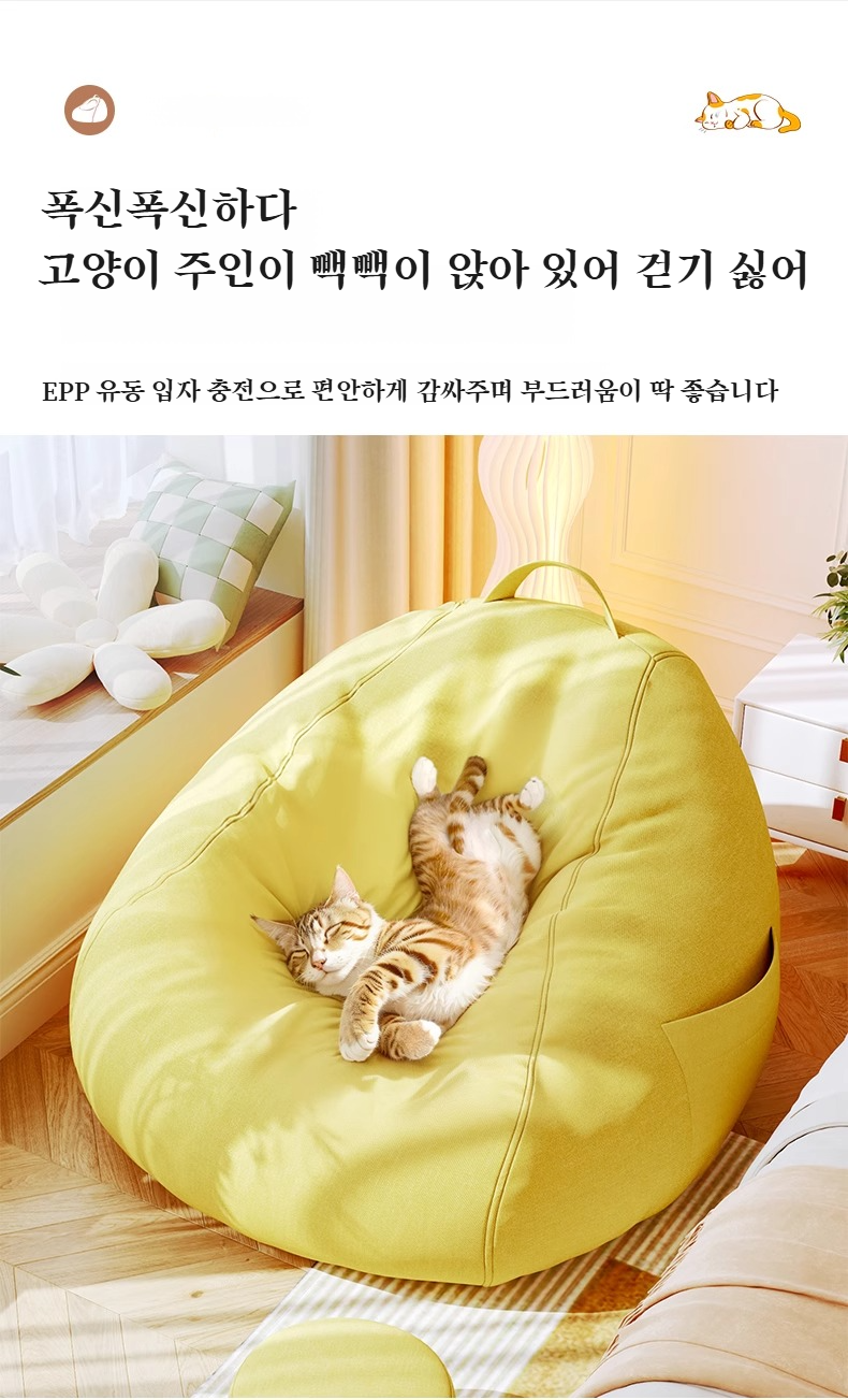 반려동물이 누워있는 편안한 소파 모습