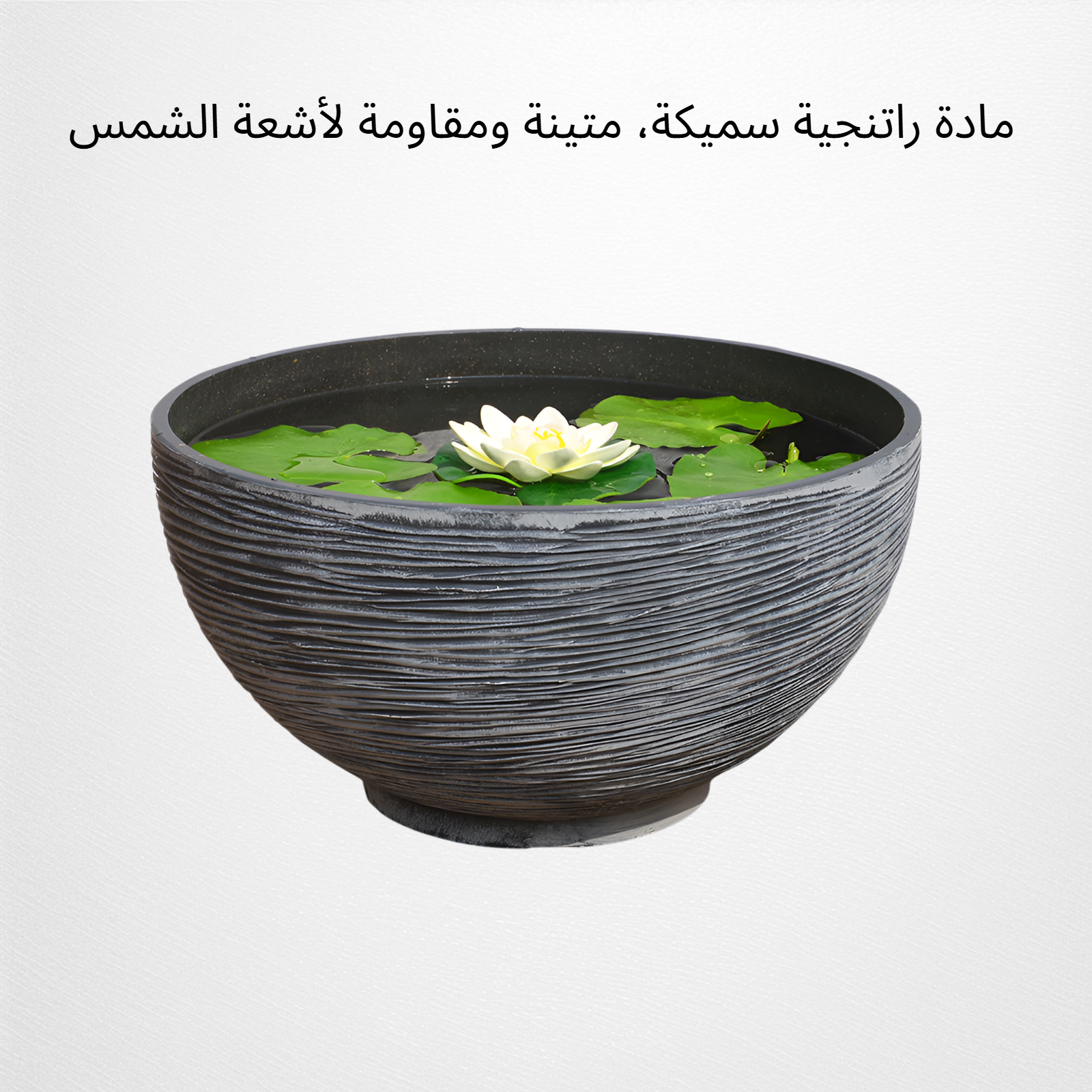 وعاء اللوتس لحوض السمك