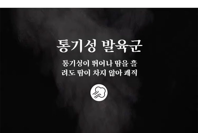 남성 와이드 카고바지 뒷모습