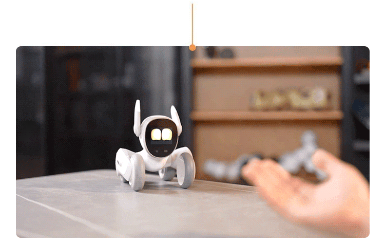 6.gif