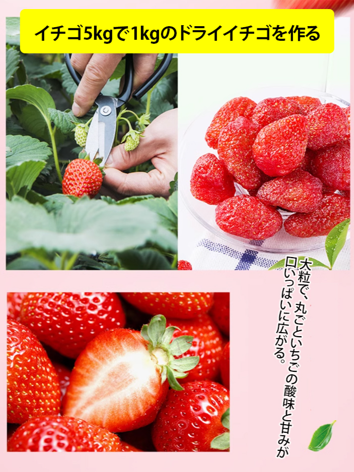 プレミアムドライストロベリー