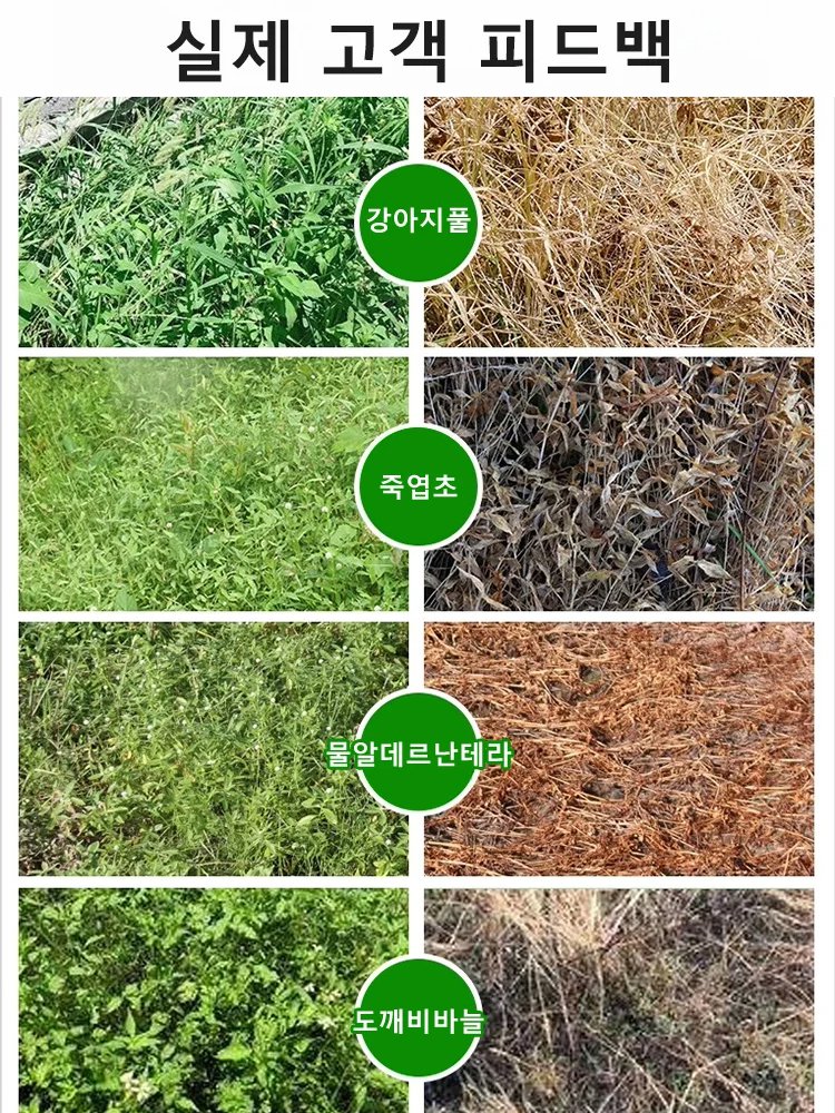【1병으로 10,000㎡ 제거 가능】2025 초강력 제초제❤️10분 만에 1000종 이상의 내성 잡초 박멸