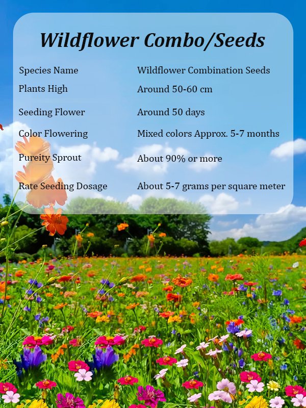 [Heat-resistant and cold-resistant four-season flower] Kaleidoscope