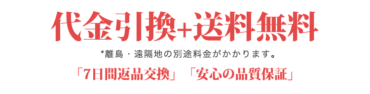 jp-送料無料02.png
