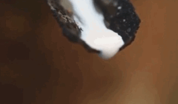 D8AC51440EE6D6A624DA02514CC84220E0365F2C_size489_w359_h210.gif