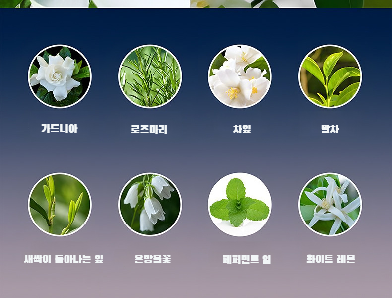 모던한 디자인의 실내 디퓨저