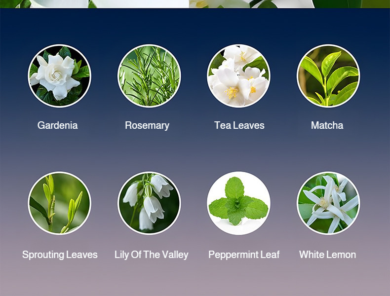 집안 곳곳에서 사용 가능한 실내 디퓨저
