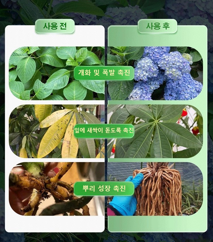 식물 뿌리 발근 비료 성장 촉진 비료