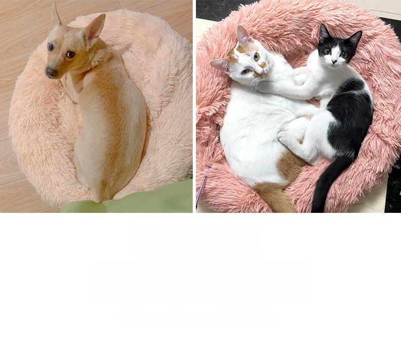 Katzenhütte mit kuscheligem Design