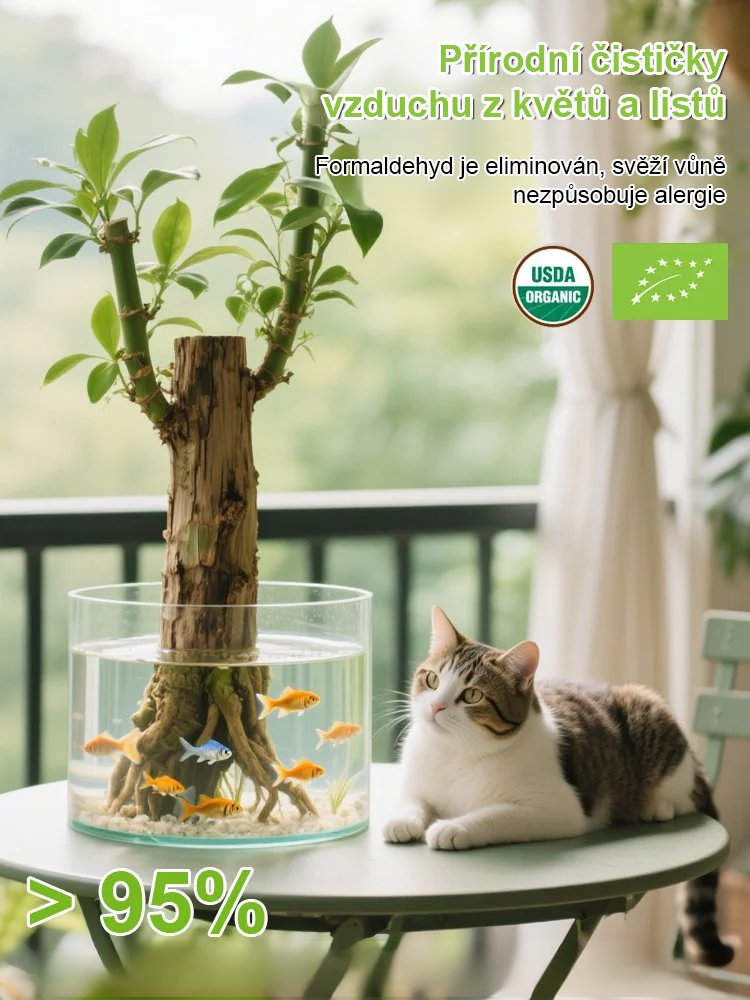 【Voda znamená život】Čtyřsezónní kvetoucí hydroponie brazilského šťastného dřeva