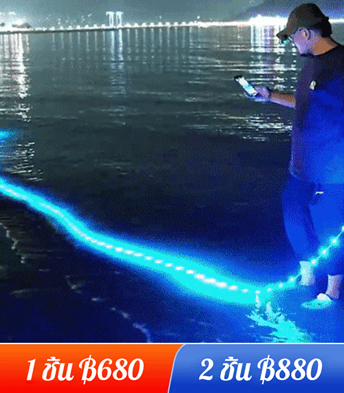 ไฟเส้นประดับ LED แบบนุ่ม