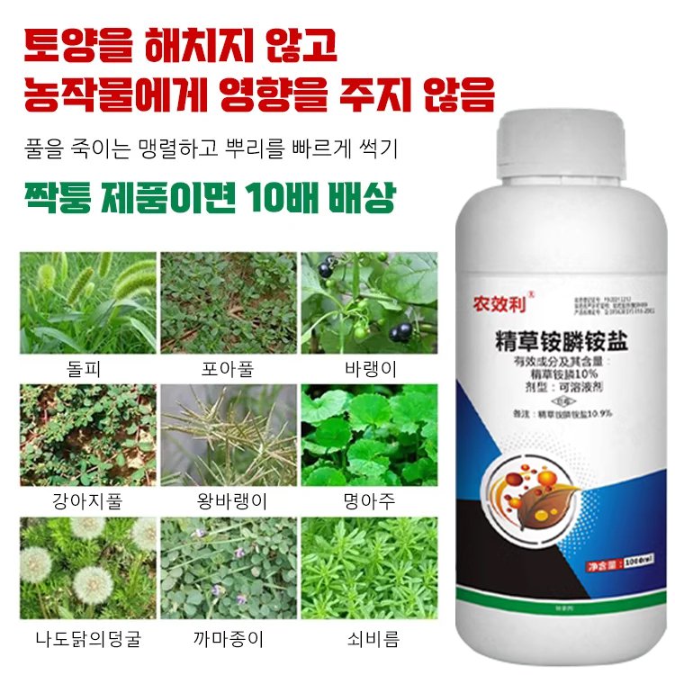 당일 결과를 확인하실 수 있습니다