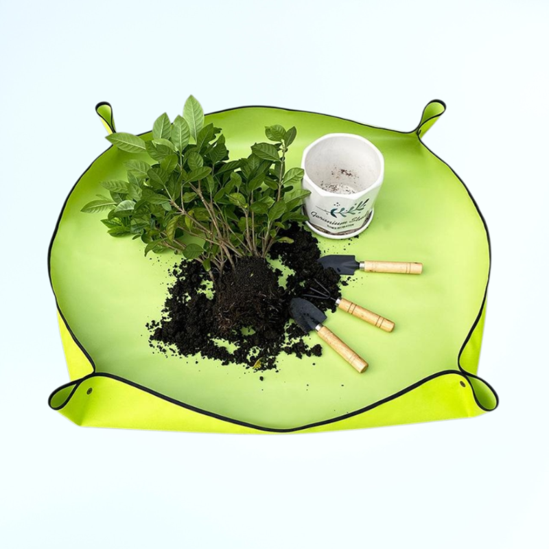 植物の植え替え、ポトスや多肉植物の鉢替え、フラワーマット