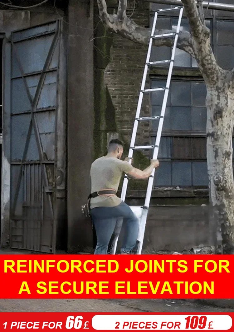 Multifunctional Telescopic Ladder