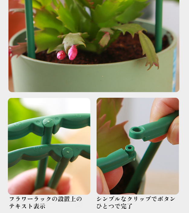 専用サポートロッドでしっかり支える植物