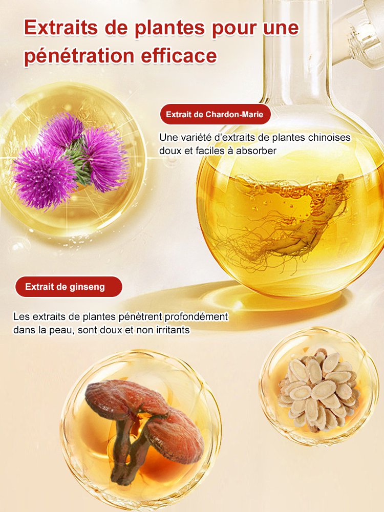 Pharmacie Shizhen de Hong Kong Patch de Chardon-Marie, Ginseng et Bergamote