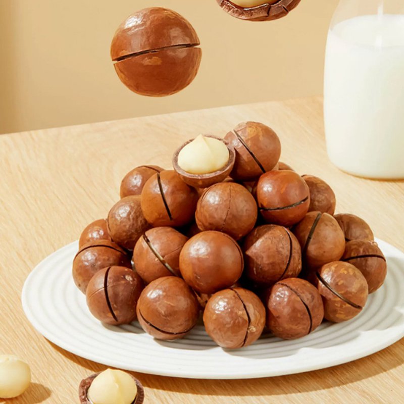 殻付マカダミアナッツ