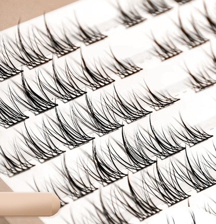 ขนตา ปราศจากกาว ติดเอง แบ่งส่วน ขนตาปลอม