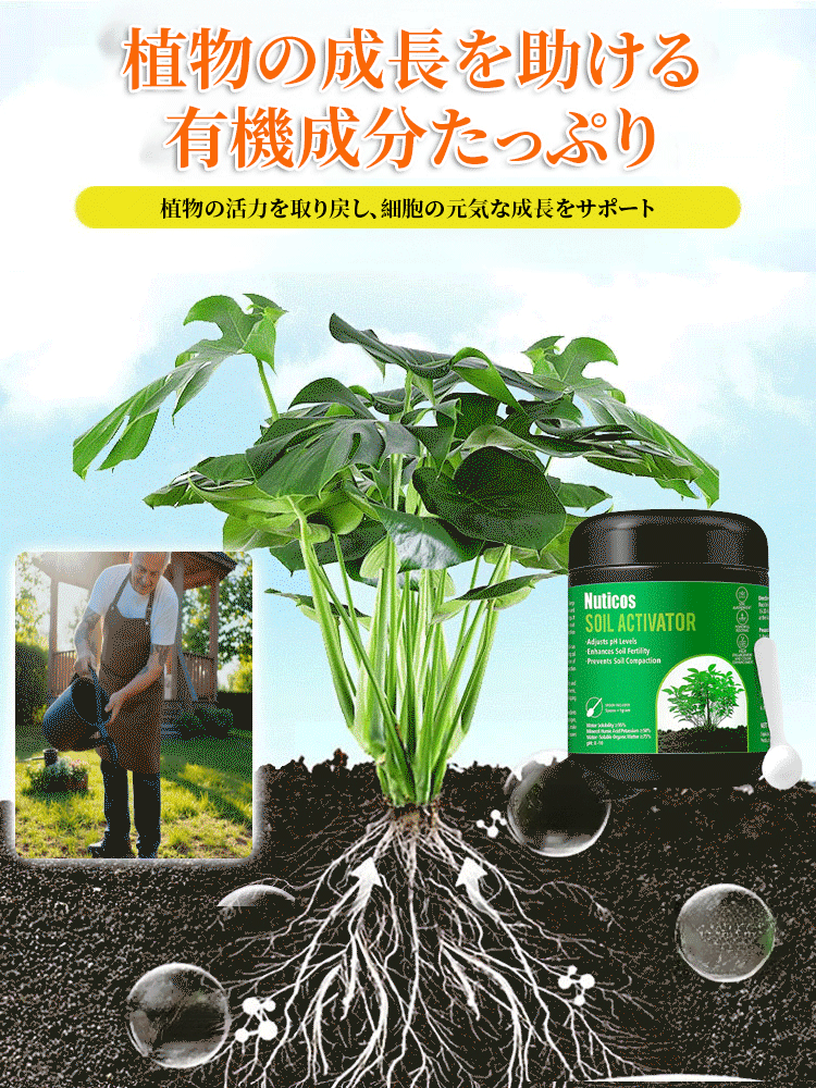 【ドイツ式】かけるだけで枯れ葉が復活！魔法の「爆根」再生液（土替え不要）