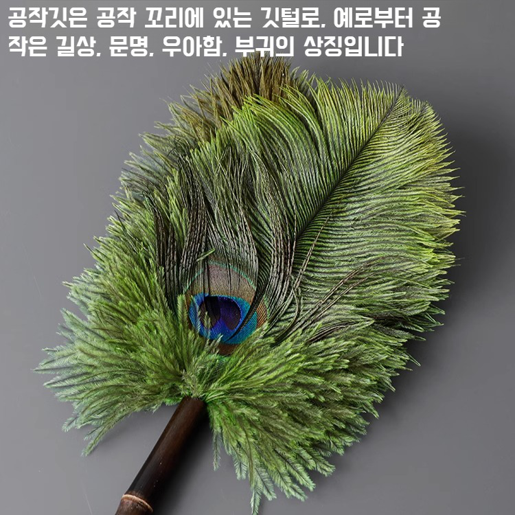 가정용 먼지떨이 피콕 빈티지 먼지떨이 암호화 청소 타조 먼지떨이