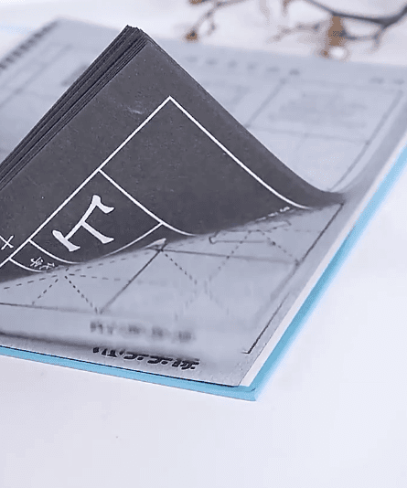 Honeycam 2025-03-24 19-28-37.gif