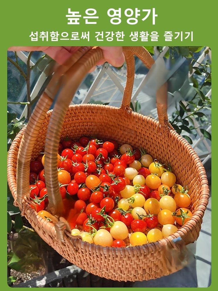 분재 왜성 방울토마토 씨앗