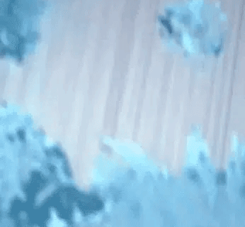 5d306315af62a6ea7c88d1f4834527d2.gif