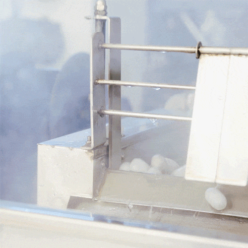 882eb0113ae3d861d8e2f4bc92ee650c.gif