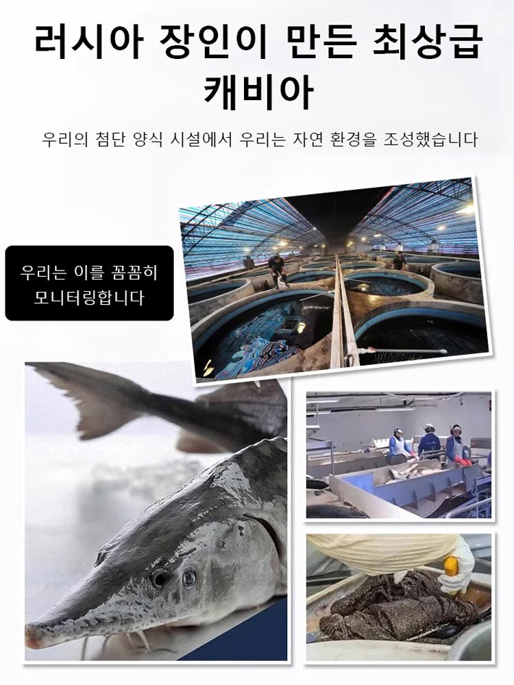 수입 흑색 러시아 연어 캐비아