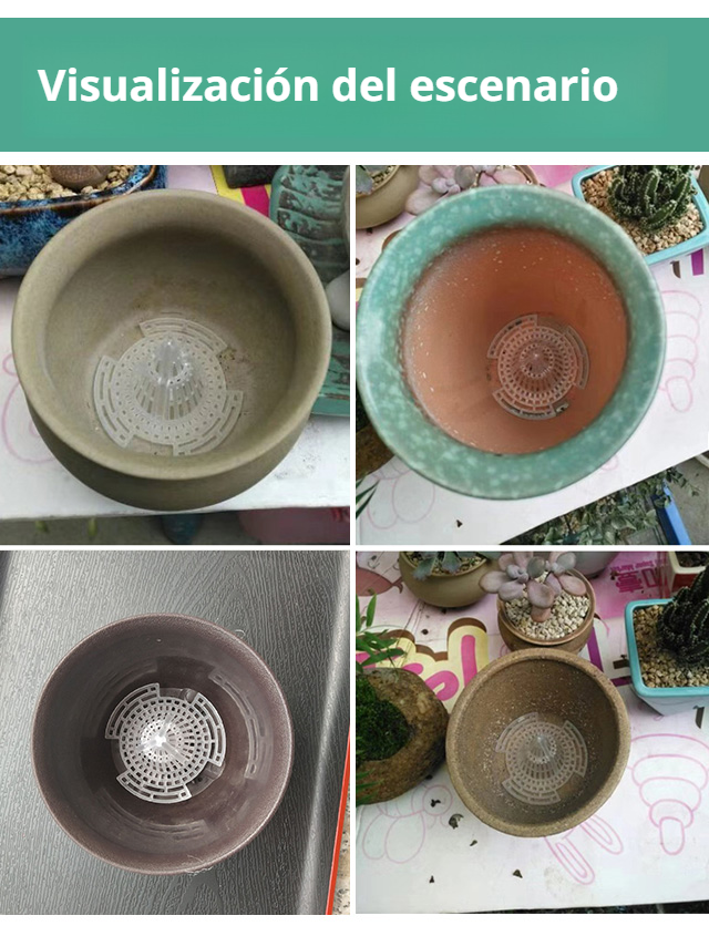 Maceta con filtro ideal para plantas saludables