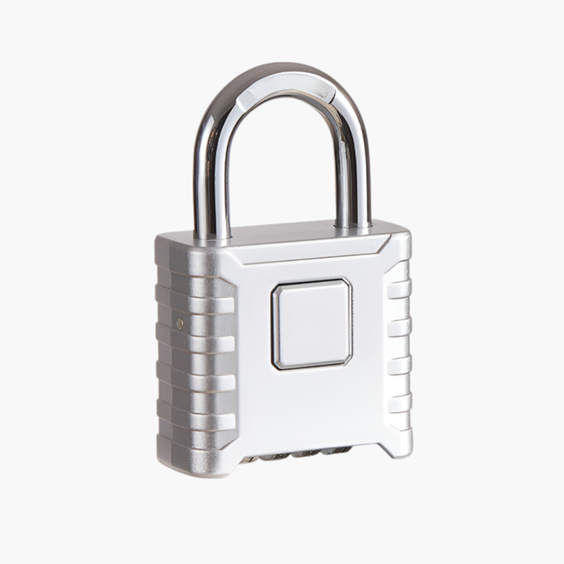 Large password padlock