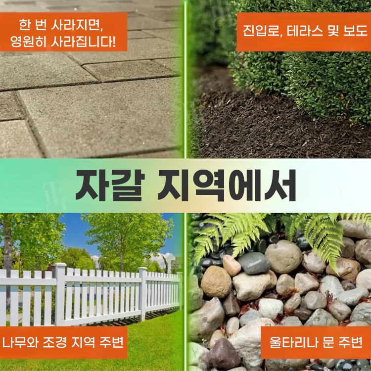 2 in 1 강력 제초제【6시간 내 효과 확인】